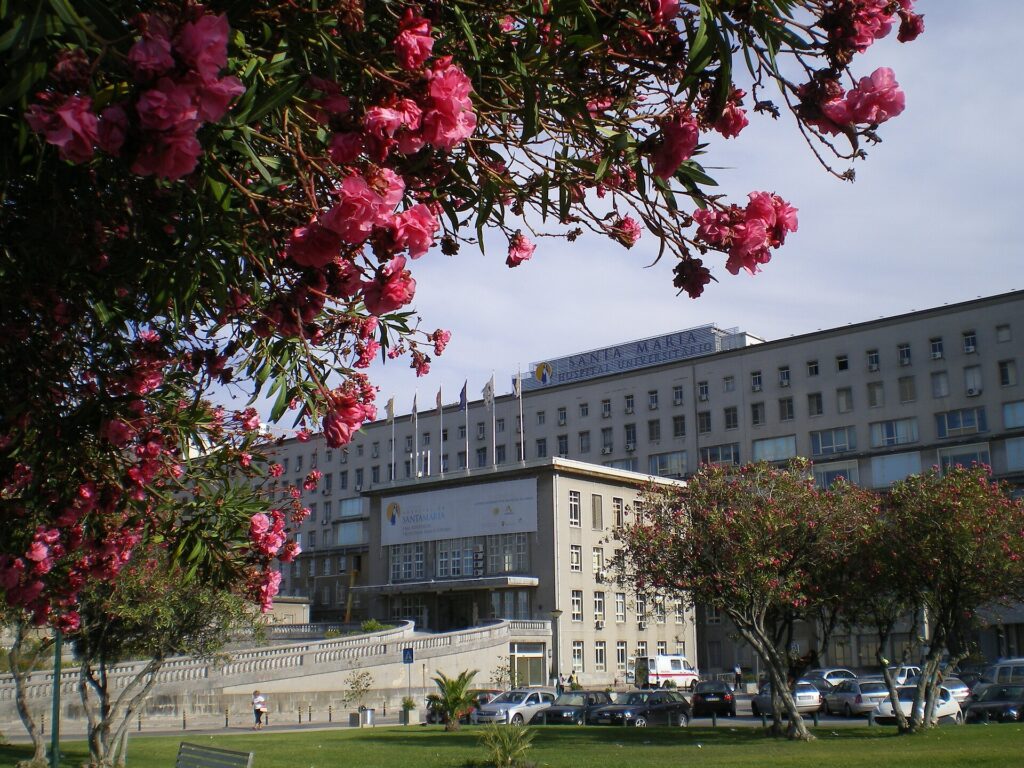 public vs private healthcare in portugal